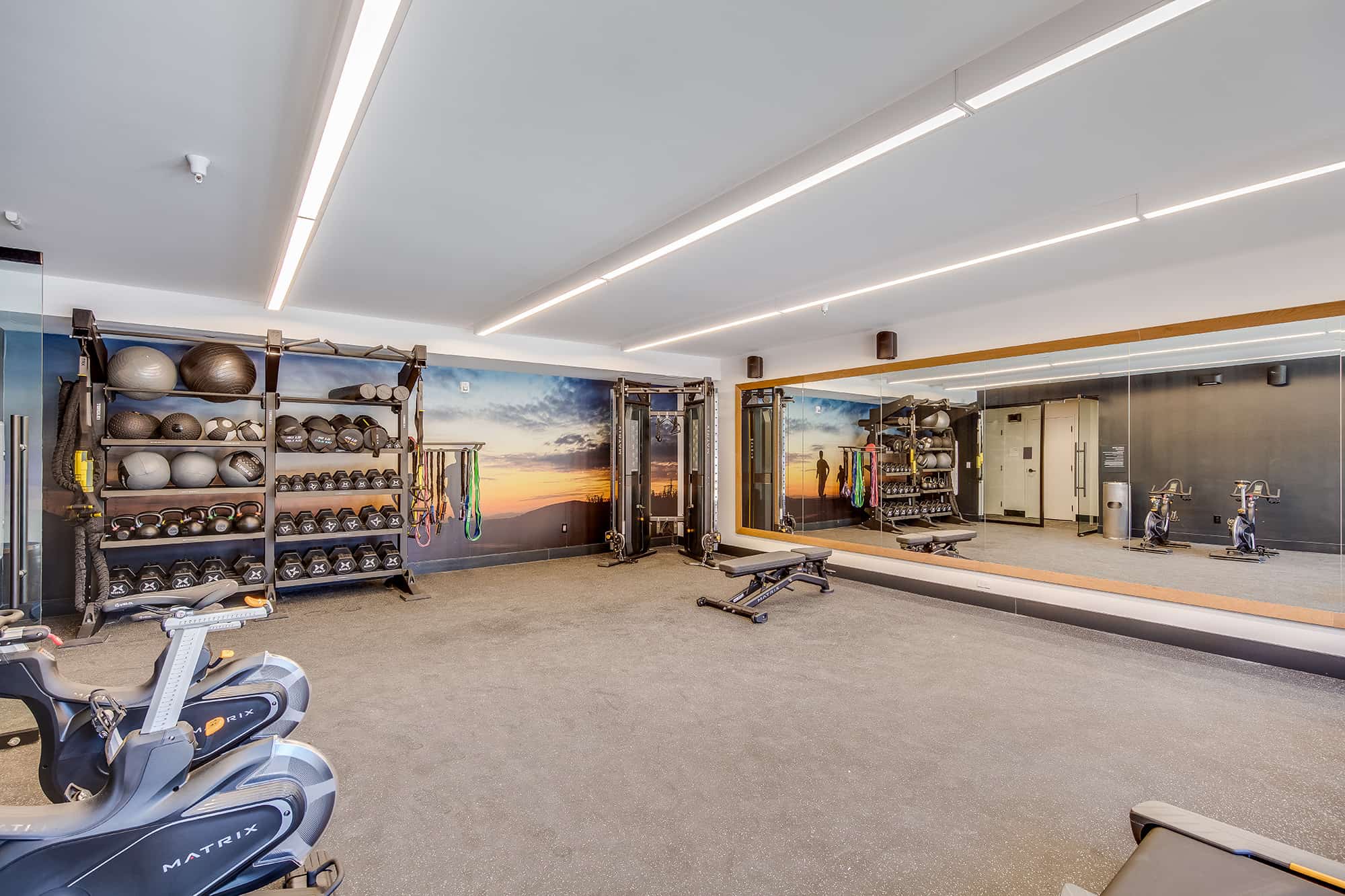 Luxury Apartments in Menlo Park - Realm - Large Fitness Center With Exercise Machines, Various Hand
